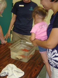 Birch Aquarium Children's Program